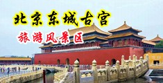 草逼视频了中国北京-东城古宫旅游风景区